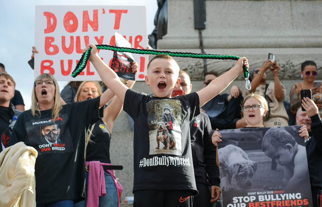 London, UK - September 23rd 2023: Demonstration by XL Bully dog owners against potential plans to ban the breed