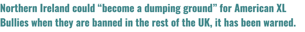 Northern Ireland could “become a dumping ground” for American XL Bullies when they are banned in the rest of the UK, ...