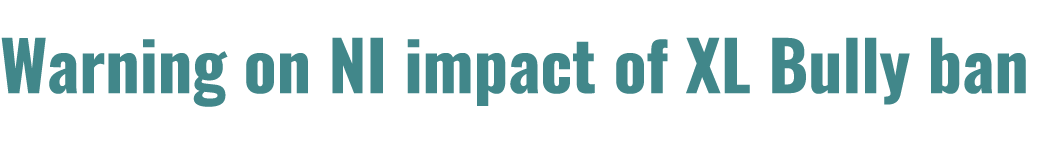 Warning on NI impact of XL Bully ban 