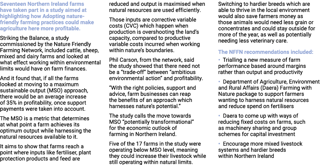 Seventeen Northern Ireland farms have taken part in a study aimed at highlighting how Adopting nature friendly farmin...