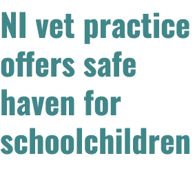 NI vet practice offers safe haven for schoolchildren 