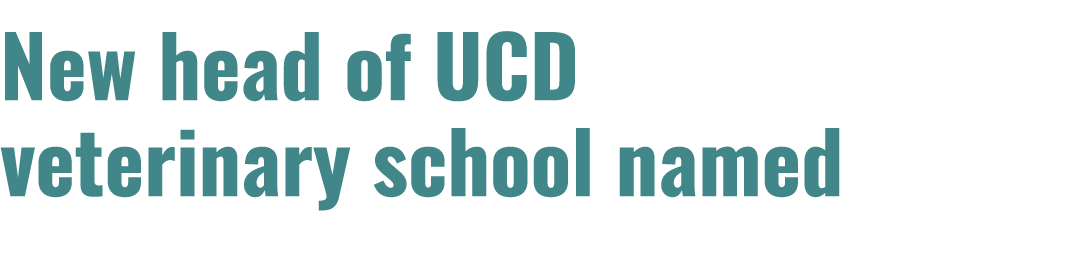 New head of UCD veterinary school named