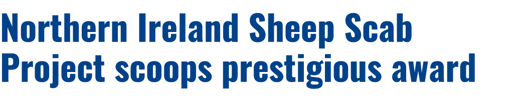 Northern Ireland Sheep Scab Project scoops prestigious award 