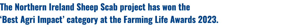 The Northern Ireland Sheep Scab project has won the ‘Best Agri Impact’ category at the Farming Life Awards 2023.
