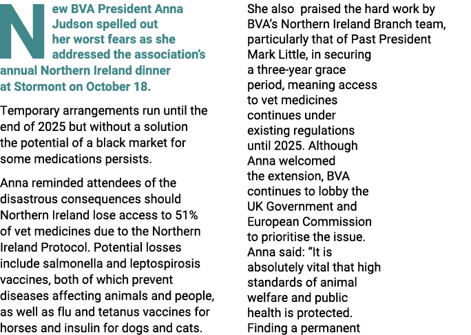 N ew BVA President Anna Judson spelled out her worst fears as she addressed the association’s annual Northern Ireland...