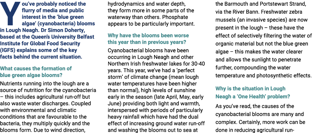 Y ou’ve probably noticed the flurry of media and public interest in the ‘blue green algae’ (cyanobacteria) blooms in ...