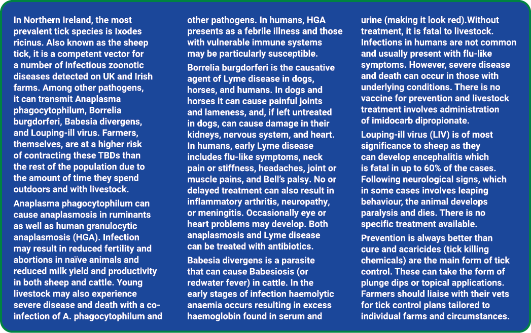 In Northern Ireland, the most prevalent tick species is Ixodes ricinus. Also known as the sheep tick, it is a compete...