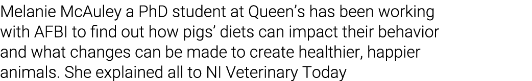 Melanie McAuley a PhD student at Queen’s has been working with AFBI to find out how pigs’ diets can impact their beha...