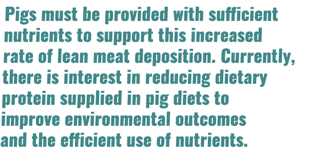 Pigs must be provided with sufficient nutrients to support this increased rate of lean meat deposition. Currently, th...