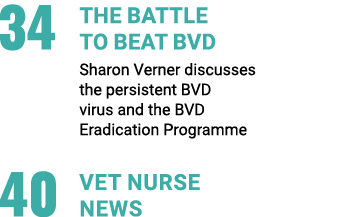 34 The battle to beat BVD Sharon Verner discusses the persistent BVD virus and the BVD Eradication Programme 40 VET ...