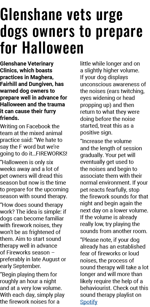 Glenshane vets urge dogs owners to prepare for Halloween Glenshane Veterinary Clinics, which boasts practices in Magh...