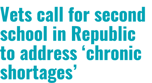 Vets call for second school in Republic to address ‘chronic shortages’