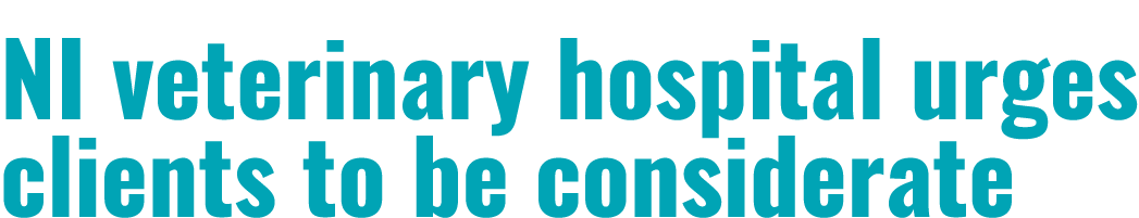 NI veterinary hospital urges clients to be considerate 