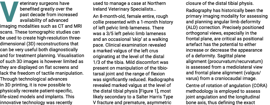 V eterinary surgeons have benefited greatly over the past decade from increased availability of advanced imaging moda...