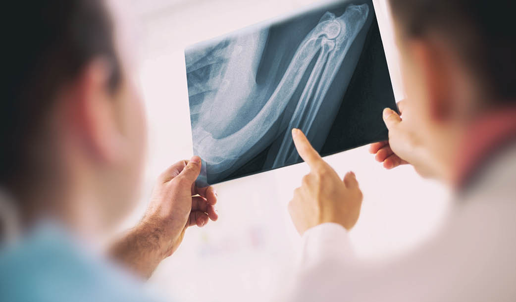 Medical examination. Team professional veterinarian holding an X-ray image of injured legs of the reptile, putting a diagnosis while standing in front of X-ray