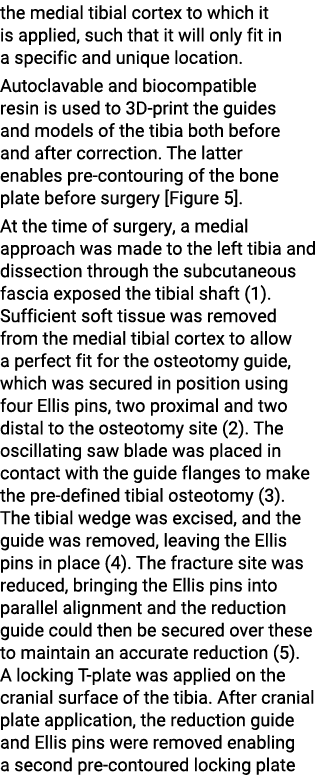 the medial tibial cortex to which it is applied, such that it will only fit in a specific and unique location. Autocl...