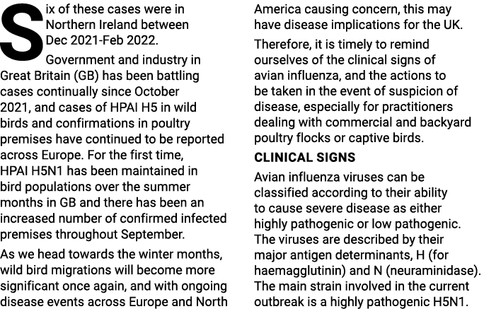 Six of these cases were in Northern Ireland between Dec 2021-Feb 2022. Government and industry in Great Britain (GB) ...