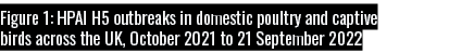 Figure 1: HPAI H5 outbreaks in domestic poultry and captive birds across the UK, October 2021 to 21 September 2022