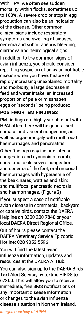 With HPAI we often see sudden mortality within flocks, sometimes up to 100%. A severe drop or stop in egg production ...