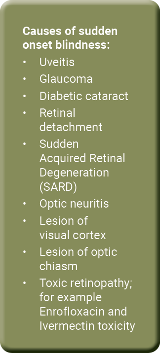Causes of sudden onset blindness: • Uveitis • Glaucoma • Diabetic cataract • Retinal detachment • Sudden Acquired Ret...