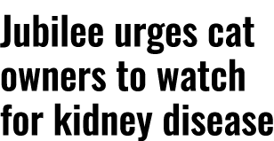 Jubilee urges cat owners to watch for kidney disease 