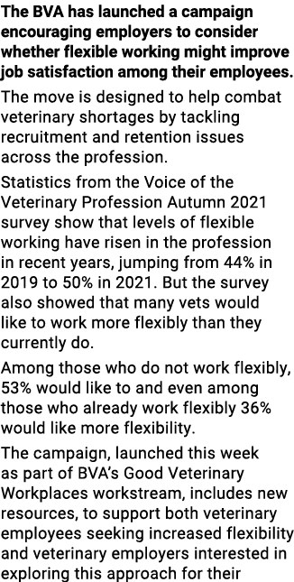 The BVA has launched a campaign encouraging employers to consider whether flexible working might improve job satisfac...