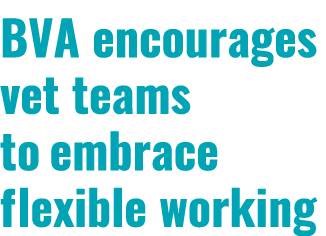 BVA encourages vet teams to embrace flexible working 