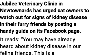 Jubilee Veterinary Clinic in Newtownards has urged cat owners to watch out for signs of kidney disease in their furry...