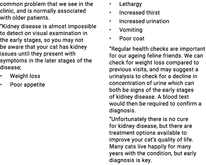 common problem that we see in the clinic, and is normally associated with older patients. “Kidney disease is almost i...