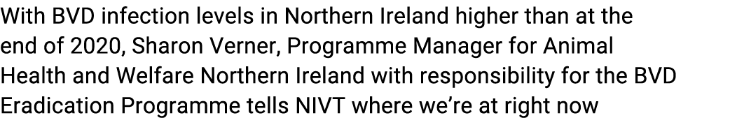With BVD infection levels in Northern Ireland higher than at the end of 2020, Sharon Verner, Programme Manager for An...