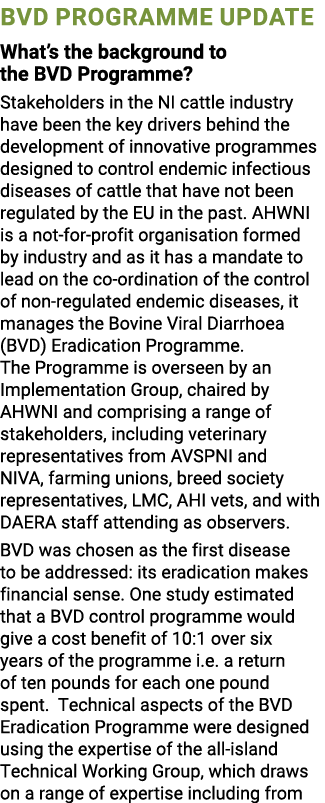 BVD Programme Update What’s the background to the BVD Programme? Stakeholders in the NI cattle industry have been the...