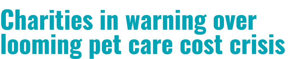 Charities in warning over looming pet care cost crisis 