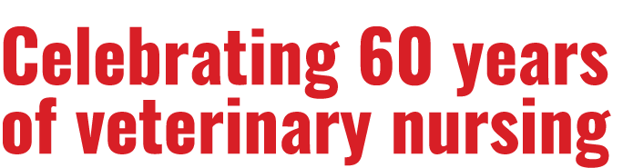 Celebrating 60 years of veterinary nursing 
