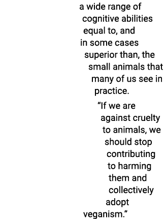 a wide range of cognitive abilities equal to, and in some cases superior than, the small animals that many of us see ...