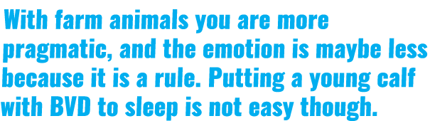 With farm animals you are more pragmatic, and the emotion is maybe less because it is a rule. Putting a young calf wi...