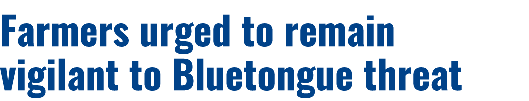 Farmers urged to remain vigilant to Bluetongue threat