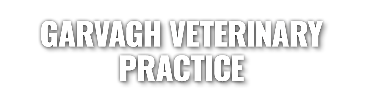 Garvagh Veterinary Practice