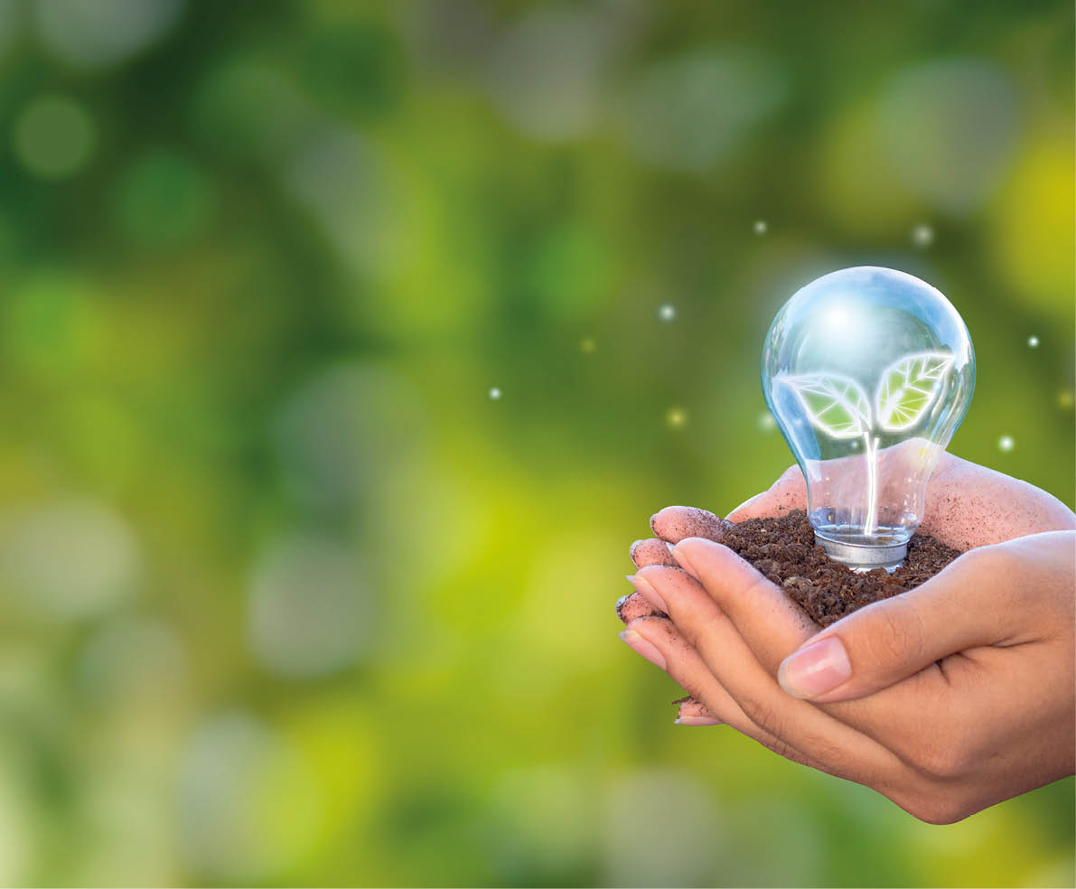 Hands holding light bulb with growing seedlings, Ecological friendly and sustainable environment, Ecology concept, forest conservation concept, world conservation concept, environmental conservation concepts.