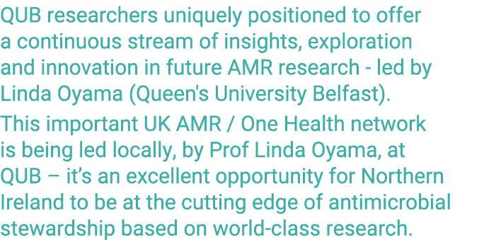 QUB researchers uniquely positioned to offer a continuous stream of insights, exploration and innovation in future AM...