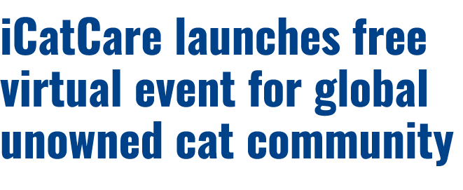 iCatCare launches free virtual event for global unowned cat community