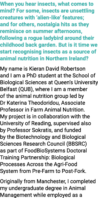 When you hear insects, what comes to mind? For some, insects are unsettling creatures with ‘alien like’ features; and...