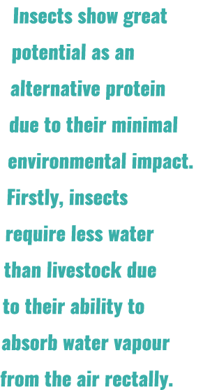 Insects show great potential as an alternative protein due to their minimal environmental impact. Firstly, insects re...