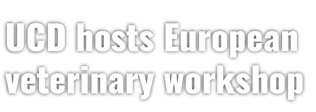 UCD hosts European veterinary workshop