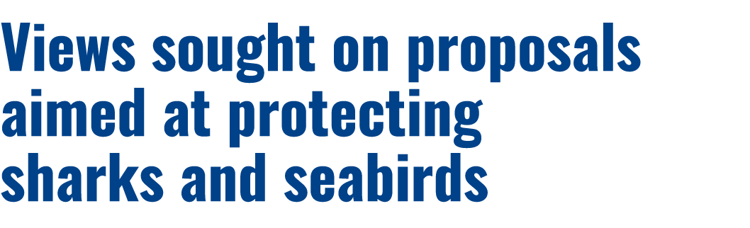 Views sought on proposals aimed at protecting sharks and seabirds