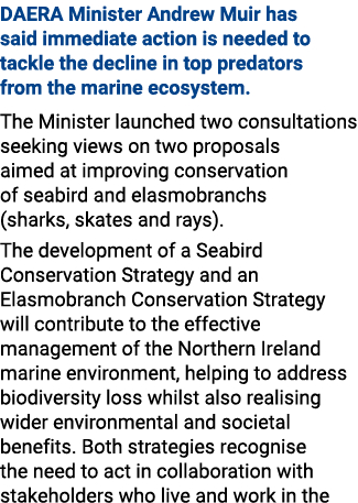 DAERA Minister Andrew Muir has said immediate action is needed to tackle the decline in top predators from the marine...