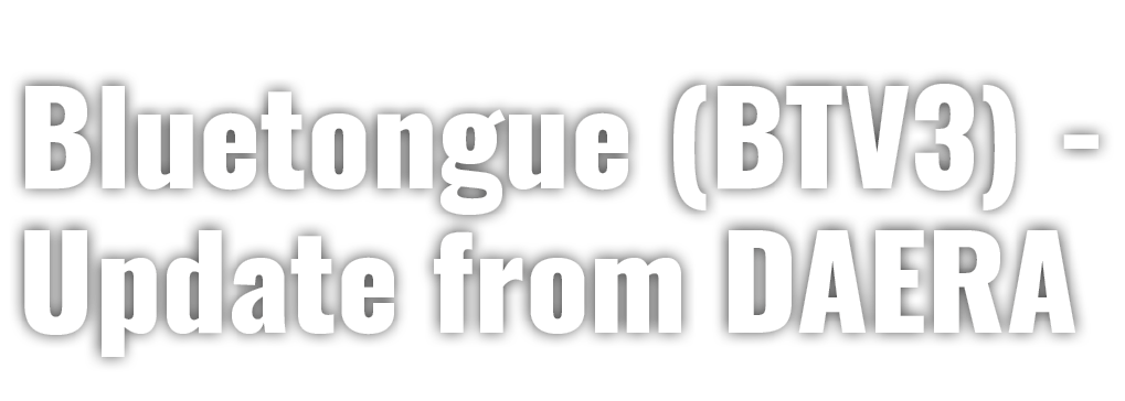 Bluetongue (BTV3) Update from DAERA