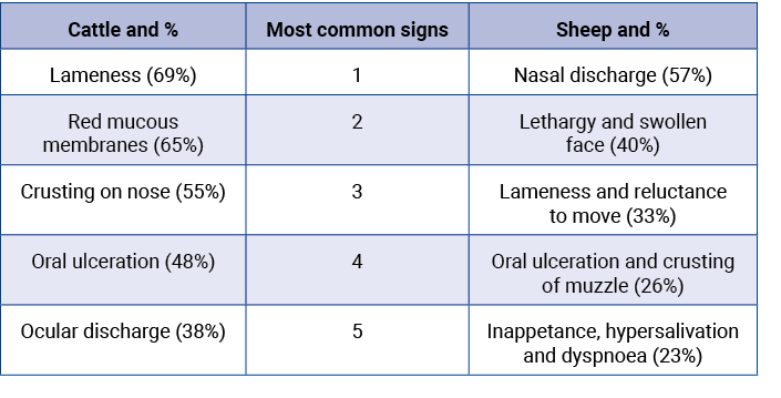 Cattle and %,Most common signs,Sheep and %,Lameness (69%),1,Nasal discharge (57%),Red mucous membranes (65%),2,Lethar...