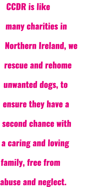 CCDR is like many charities in Northern Ireland, we rescue and rehome unwanted dogs, to ensure they have a second cha...