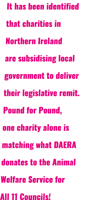 It has been identified that charities in Northern Ireland are subsidising local government to deliver their legislati...