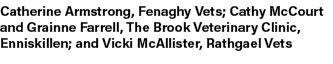 Catherine Armstrong, Fenaghy Vets; Cathy McCourt and Grainne Farrell, The Brook Veterinary Clinic, Enniskillen; and V...